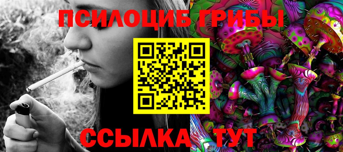 Галлюциногенные грибы GOLDEN TEACHER Аксай