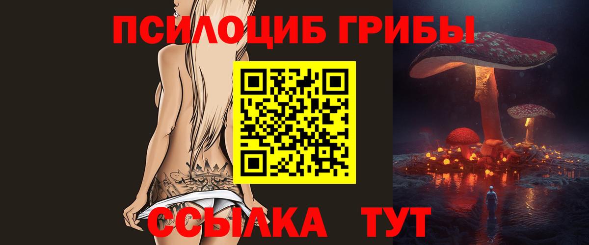 Галлюциногенные грибы Psilocybe  Вход с VPN  Аксай  Галлюциногенные грибы GOLDEN TEACHER 